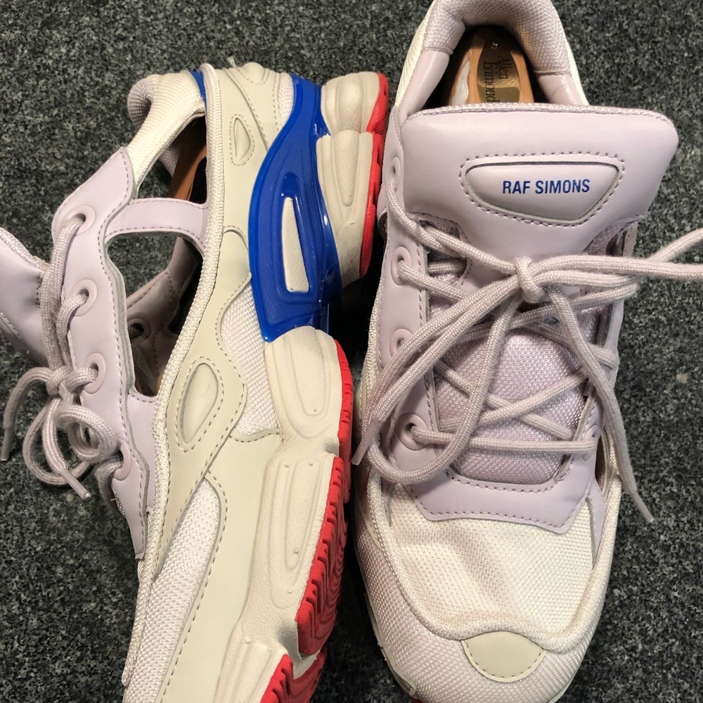 RAF Simons x Adidas Ozweego